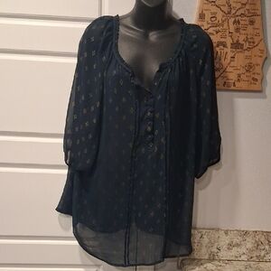 Chic Sheer Blue Blouse